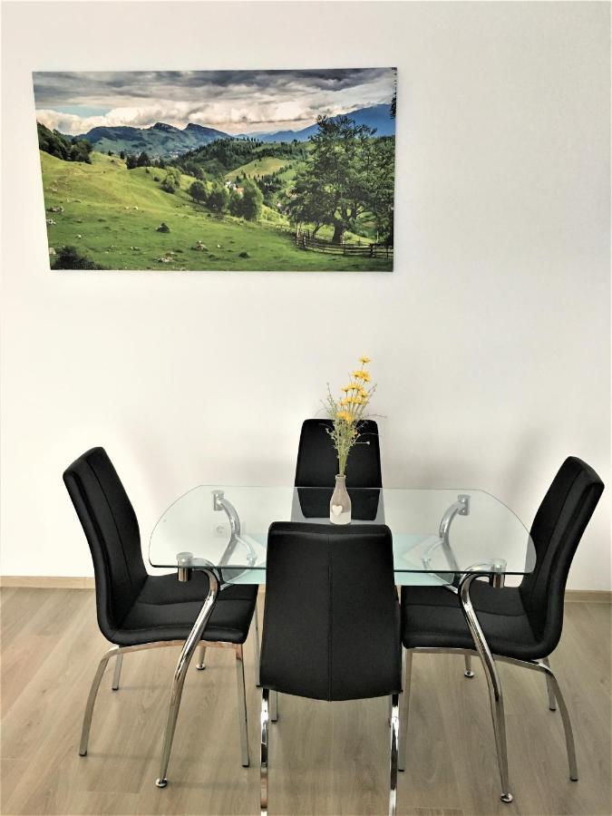 Mountain View Escape Apartment Brasov Bagian luar foto